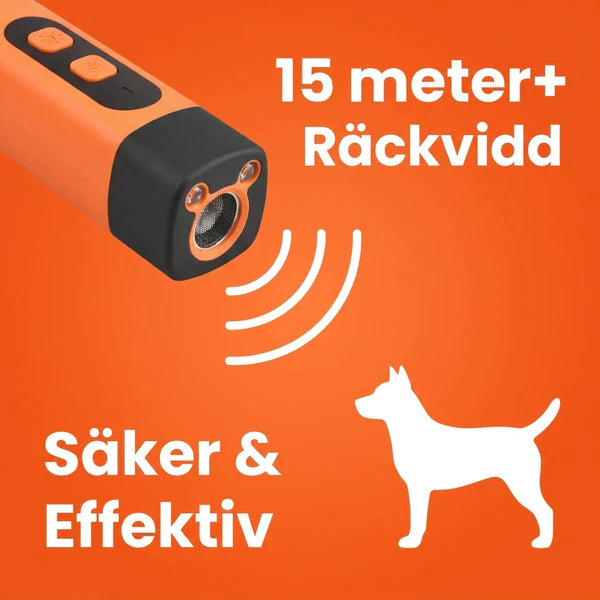 Hundlugn – trygghet i varje sekund